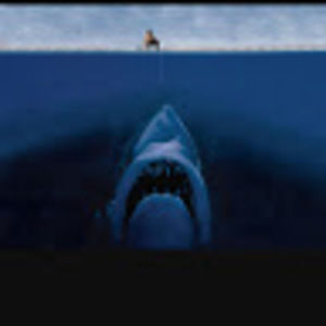 Meet your Posher, Branden